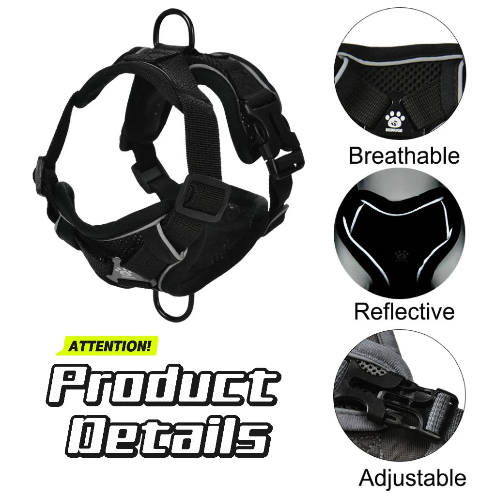 Arnes Ajustable y Correa pr Perros y Gatos