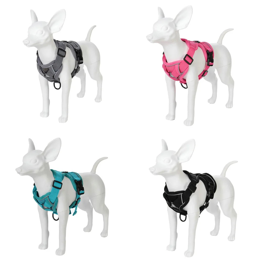 Arnes Ajustable y Correa pr Perros y Gatos