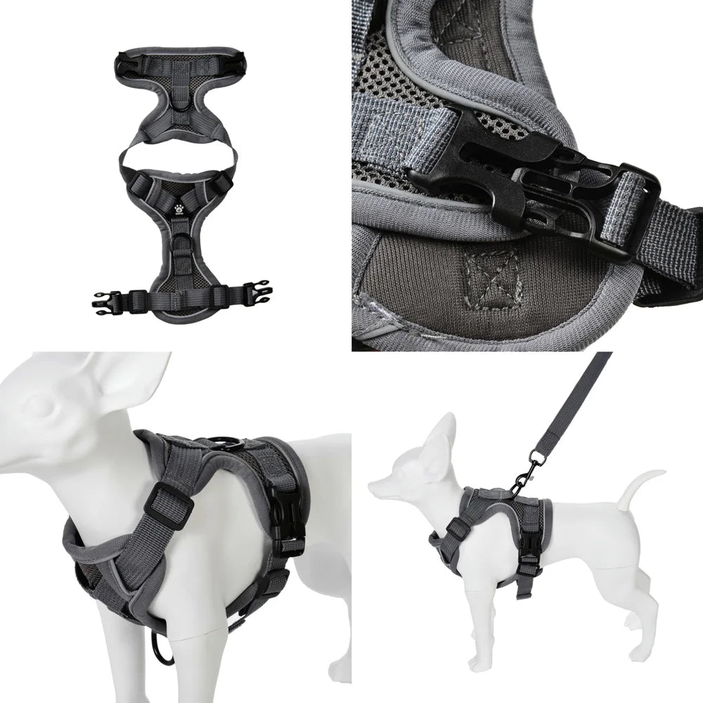Arnes Ajustable y Correa pr Perros y Gatos