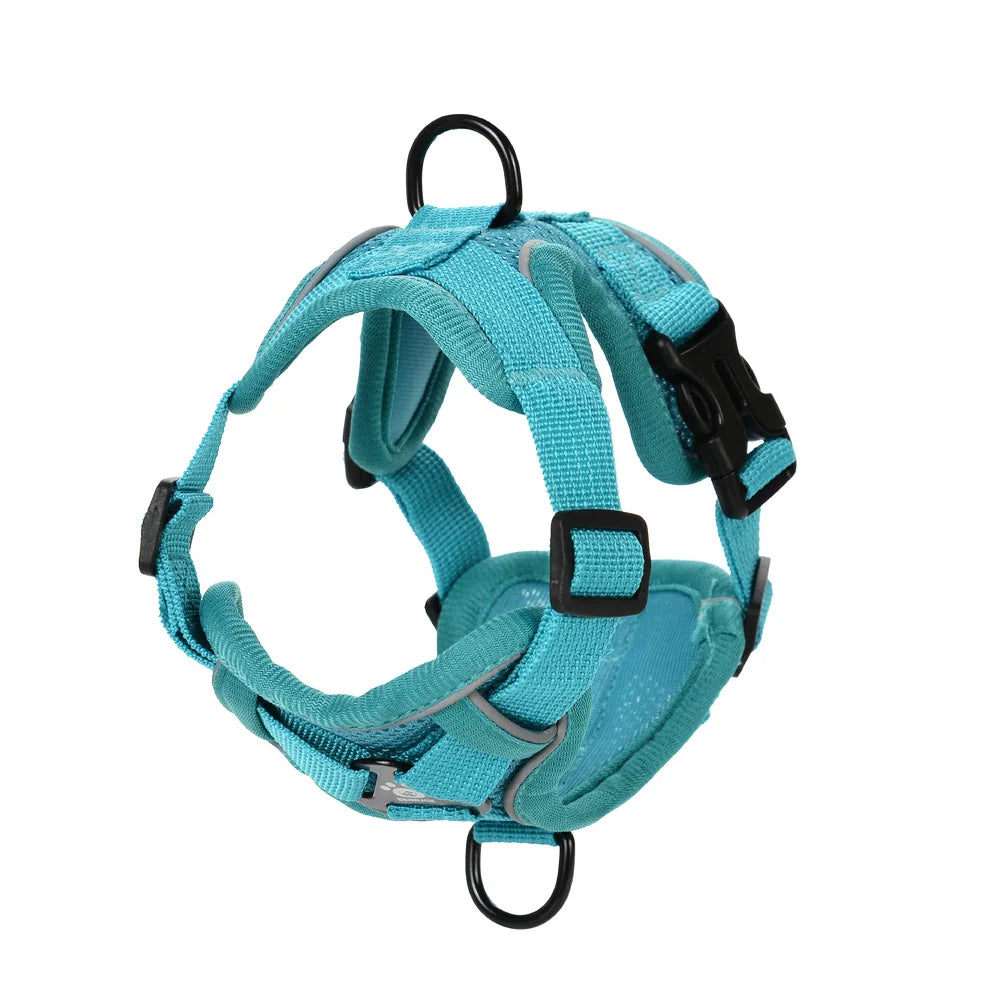 Arnes Ajustable y Correa pr Perros y Gatos