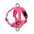 Arnes Ajustable y Correa pr Perros y Gatos