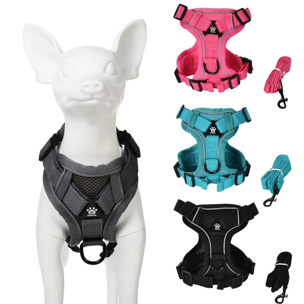 Arnes Ajustable y Correa pr Perros y Gatos